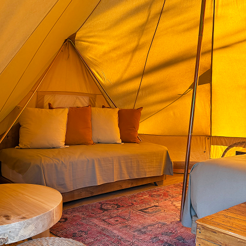 Interior carpa 3 1
